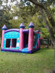 20201114 124817 1715790135 5 in 1 inflatable Princess castle Combo