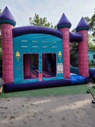 5 in 1 inflatable Princess castle Combo