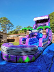 purple Waterslide